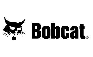 bobcat